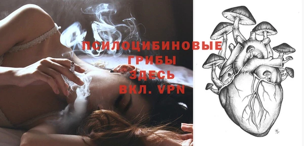 молекула духа Алзамай