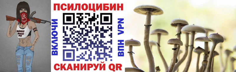 Псилоцибиновые грибы прущие грибы  купить наркотики цена  Курганинск 